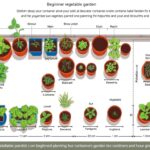 Projekt ogródka warzywnego w donicach z rozmieszczeniem różnych pojemników